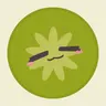 Profile picture of komfy kiwi