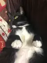 다나나님의 프로필 사진