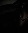 Profile picture of Shasha Vale